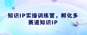 知识IP实操训练营，​孵化多赛道知识IP-优优云创