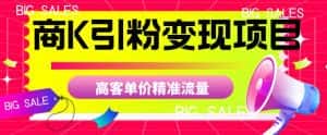 商K引粉变现项目，高客单价精准流量【揭秘】-优优云创