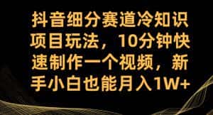 抖音细分赛道冷知识项目玩法,10分钟快速制作一个视频,新手小白也能月入1W+【揭秘】-副业吧