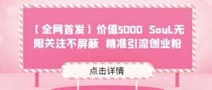 【全网首发】价值5000 Soul无限关注不屏蔽​精准引流创业粉-优优云创