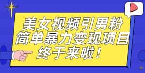 价值3980的男粉暴力引流变现项目，一部手机简单操作，新手小白轻松上手，每日收益500+【揭秘】-优优云创