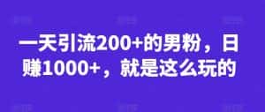 一天引流200+的男粉，日赚1000+，就是这么玩的【揭秘】-优优云创网