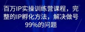 百万IP实操训练营课程，完整的IP孵化方法，解决做号99%的问题-优优云创网