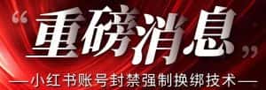 【最新】小红书账号封禁强制换绑技术可日赚300-优优云创