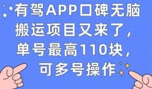 有驾APP口碑无脑搬运项目又来了，单号最高110块，可多号操作-副业吧