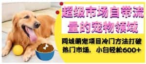 超级市场自带流量的宠物领域，同城萌宠项目冷门方法打破热门市场，小白轻松600+-优优云创