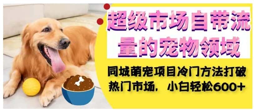 超级市场自带流量的宠物领域，同城萌宠项目冷门方法打破热门市场，小白轻松600+-优优云创