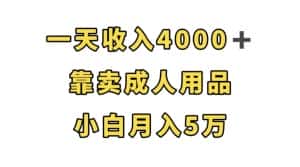 一天收入4000+，靠卖成人用品，小白轻松月入5万【揭秘】-优优云创
