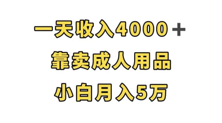 一天收入4000+，靠卖成人用品，小白轻松月入5万【揭秘】-优优云创