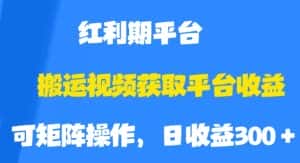 搬运视频获取平台收益，平台红利期，附保姆级教程【揭秘】-优优云创
