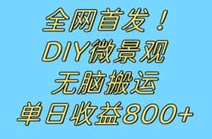 全网首发冷门赛道!DIY微景观,无脑搬运视频,日收益800+【揭秘】-优优云创