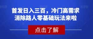 首发日入三百，冷门高需求消除路人零基础玩法来啦【揭秘】-优优云创