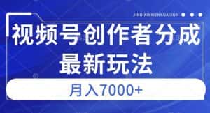 视频号广告分成新方向，作品制作简单，篇篇爆火，半月收益3000+【揭秘】-副业吧