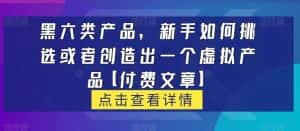 黑六类虚拟产品，新手如何挑选或者创造出一个虚拟产品【付费文章】-优优云创