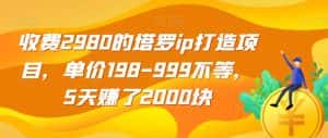 收费2980的塔罗ip打造项目，单价198-999不等，5天赚了2000块【揭秘】-优优云创