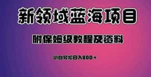 虚拟资源蓝海领域新项目，轻松日入800＋，附保姆级教程及资料-优优云创