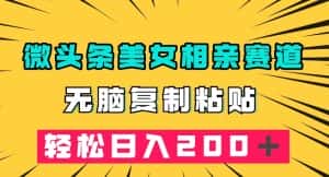 微头条冷门美女相亲赛道,无脑复制粘贴,轻松日入200+【揭秘】-副业吧