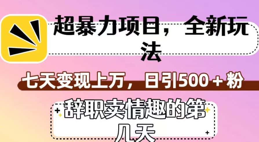 超暴利项目，全新玩法（辞职卖情趣的第几天），七天变现上万，日引500+粉【揭秘】-优优云创