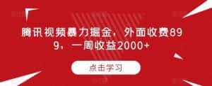 腾讯视频暴力掘金，外面收费899，一周收益2000+【揭秘】-优优云创