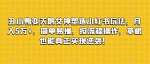 丑小鸭变天鹅女神塑造小红书玩法，月入5万+，简单易懂，按流程操作，草根也能真正实现逆袭！-优优云创