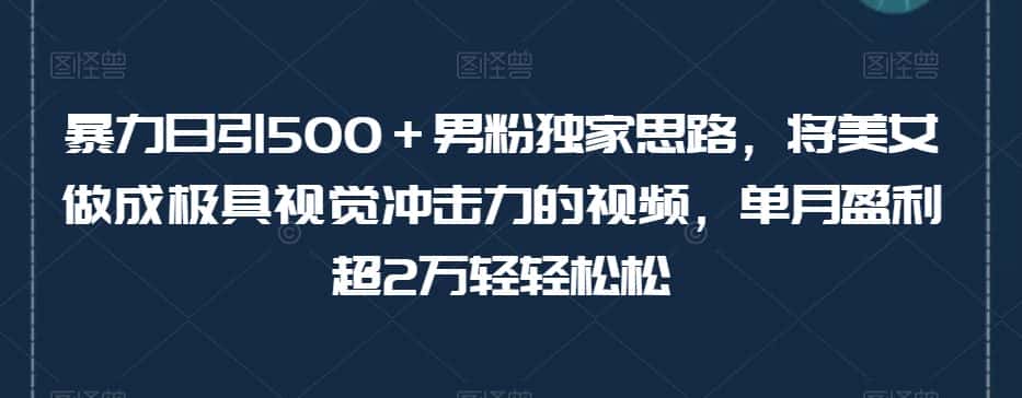 暴力日引500＋男粉独家思路，将美女做成极具视觉冲击力的视频，单月盈利超2万轻轻松松-优优云创