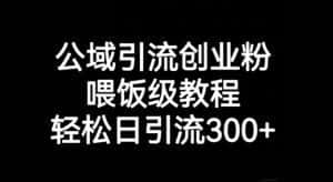公域引流创业粉，喂饭级教程，轻松日引流300+【揭秘】-优优云创网
