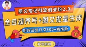 爱豆新媒:全自动养号+图文批量生成,日引500+创业粉(抖音小红书图文笔记2.0)-优优云创网