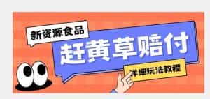 新资源食品赶黄草标签瑕疵打假赔付思路，光速下车，一单利润千+【详细玩法教程】【揭秘】-优优云创