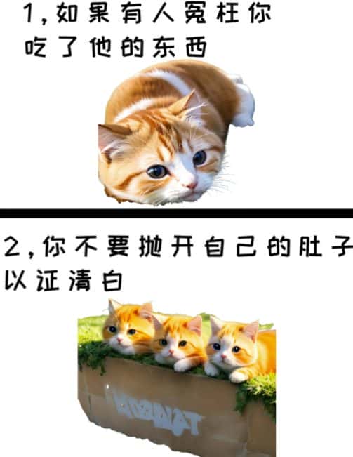 图片[1]-治愈系萌猫加+黑鸡汤文案，小红书商单玩法，3~10天涨到1000粉，一单200左右-优优云创