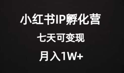 价值2000+的小红书IP孵化营项目，超级大蓝海，七天即可开始变现，稳定月入1W+-优优云创