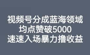 视频号分成蓝海领域，均点赞破5000，速速入场暴力撸收益-副业吧