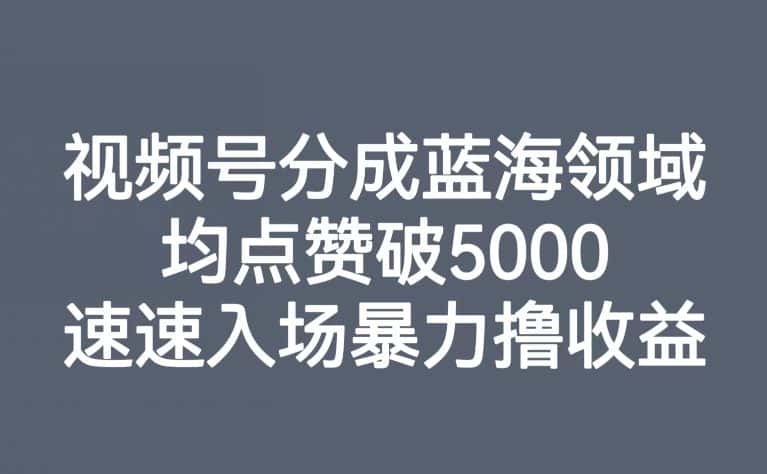 视频号分成蓝海领域，均点赞破5000，速速入场暴力撸收益-副业吧