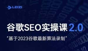 雷子·谷歌SEO 2.0实战课，独立站询盘自由必备，基于2023谷歌最新算法录制-优优云创网