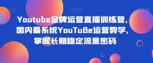 Youtube金牌运营直播训练营，国内最系统YouTuBe运营教学，掌握长期稳定流量密码-优优云创网