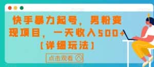 快手暴力起号，男粉变现项目，一天收入500+【详细玩法】【揭秘】-优优云创网