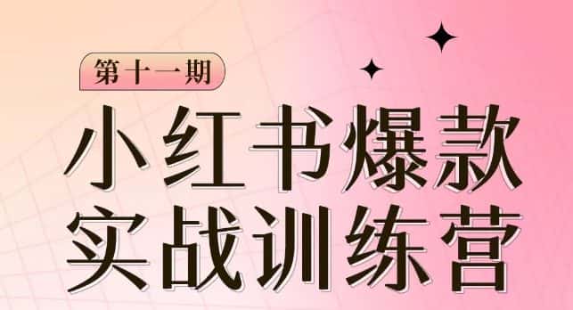 小红书博主爆款训练营第11期,手把手教你从0-1做小红书,从定位到起号到变现-优优云创网