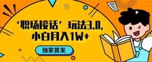 职场接话3.0玩法，小白易上手，暴力变现月入1w【揭秘】-优优云创网