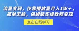 流量变现，仅靠播放量月入1W＋，简单无脑，保姆级实操教程【揭秘】-优优云创网