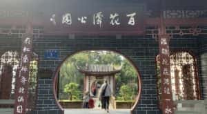 某公众号付费文章，壬戌癸亥月剧本之“锦鲤龙行”，见者好运-优优云创网