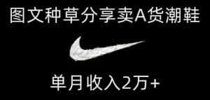 靠图文种草分享卖A货潮鞋，每天一小时，单月收入2万+【揭秘】-优优云创网