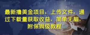 最新撸美金项目，上传文件，通过下载量获取收益，简单无脑，附保姆级教程【揭秘】-优优云创网