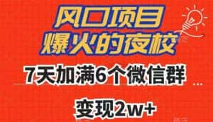 全网首发，爆火的夜校，7天加满6个微信群，变现2w+【揭秘】-优优云创网
