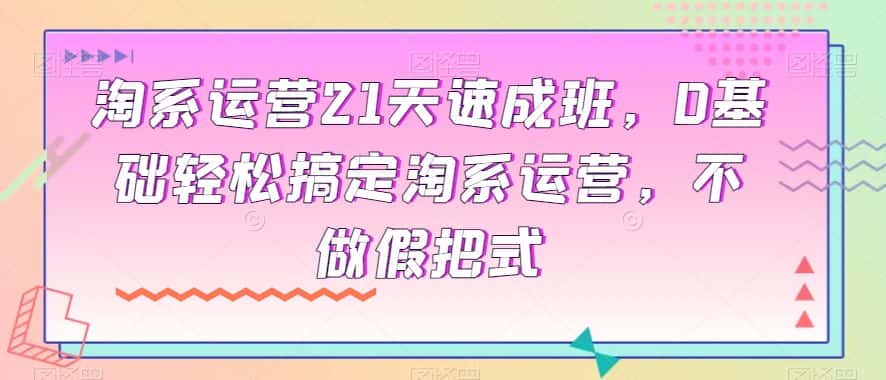 淘系运营21天速成班，0基础轻松搞定淘系运营，不做假把式-优优云创网
