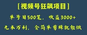 日收款500笔，纯利润3000+，视频号狂飙项目，会简单剪辑就能做【揭秘】-优优云创网