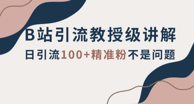 B站引流教授级讲解，细节满满，日引流100+精准粉不是问题【揭秘】-优优云创网