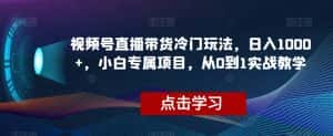 视频号直播带货冷门玩法,日入1000+,小白专属项目,从0到1实战教学【揭秘】-优优云创网
