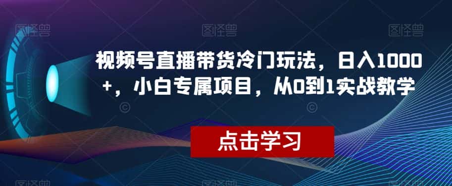 视频号直播带货冷门玩法，日入1000+，小白专属项目，从0到1实战教学【揭秘】-优优云创网