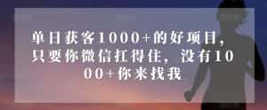 单日获客1000+的好项目,只要你微信扛得住,没有1000+你来找我【揭秘】-优优云创网