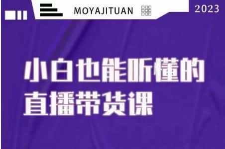 大威本威·能听懂的直播带货课，小白也能听懂，20节完整-优优云创网