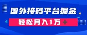 通过国外接码平台掘金：成本1.3，利润10＋，轻松月入1万＋【揭秘】-优优云创网
